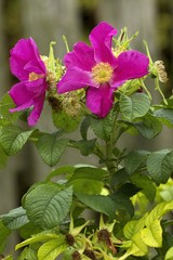 warm autumn colors in October