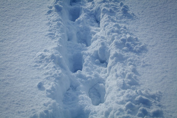 footprints in the snow. Beautiful view. winter season