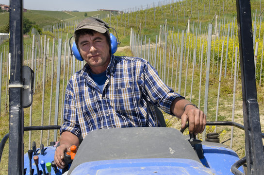 Driver on crawler tractor wearing noise-free headphones, he works among the rows of vineyards in the Langhe hills in Piedmont Italy