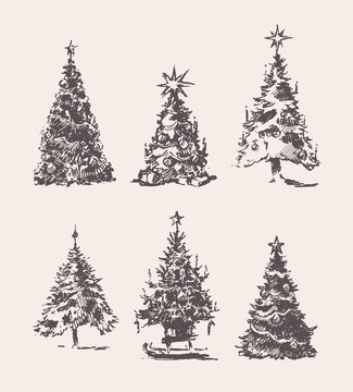 Set drawn Christmas Trees vintage vector sketch