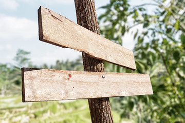 Old wooden signboard isoliated on nature background