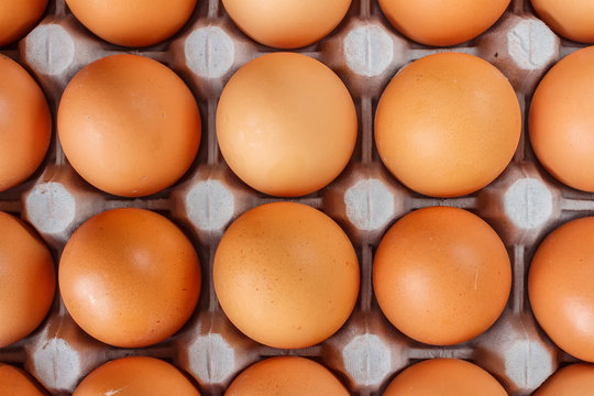 Unit chicken eggs, grocery, background for Your design.