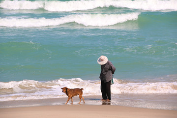 Old woman finding shells  on the beach with a dog in summer , blue sea and waves background.