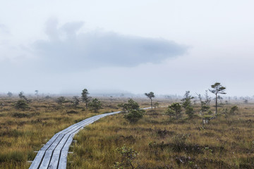The sun Latvia.Dunikas swamp and mist rises