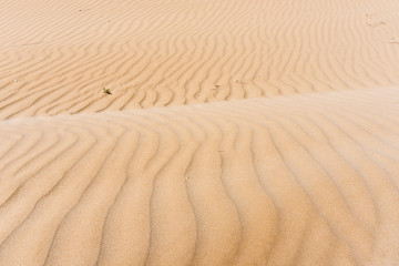Textur Sand Wellenmuster