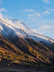 Colorful of autumn forest and white snow on mountain from sunrise time in Hemu village, Xinjiang, China