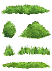 Watercolor drawing pieces of green grass and bushes
