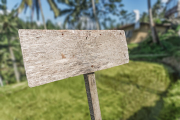 Old wooden signboard isoliated on nature background