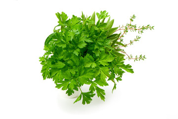 Parsley, Celery, Sage, Thyme, fresh leaves isolated on white background