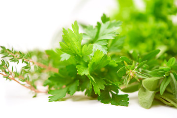 Parsley, Celery, Sage, Thyme, Lettuce leaf, fresh leaves isolated on white background
