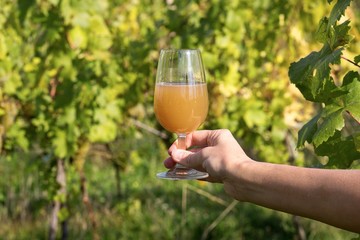 fresh grape must in wine glass