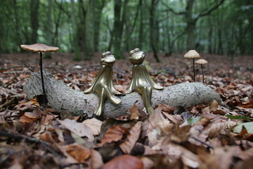 Verliebte Frösche sitzen im Herbstwald auf einem Ast, umgeben von Pilzen.