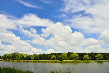 Chmury i drzewa nad brzegiem jeziora.