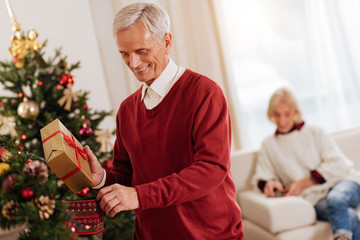 Positive grey-haired man preparing for New Year