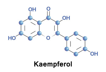 Kaempferol molecule structure