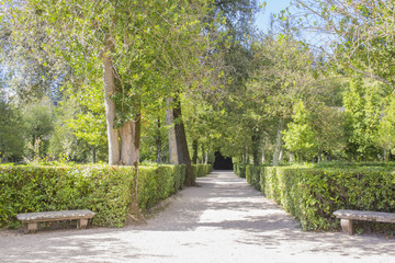 Dettaglio giardino con alberi e siepi di Palazzo Farnese a Caprarola, in Italia. Questa era una delle residenze nel Lazio della celebre famiglia nel periodo rinascimentale.