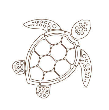 Sea turtle line icon