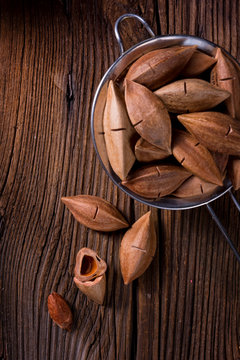 Canarium ovatum, commonly known as pili is a species of tropical tree