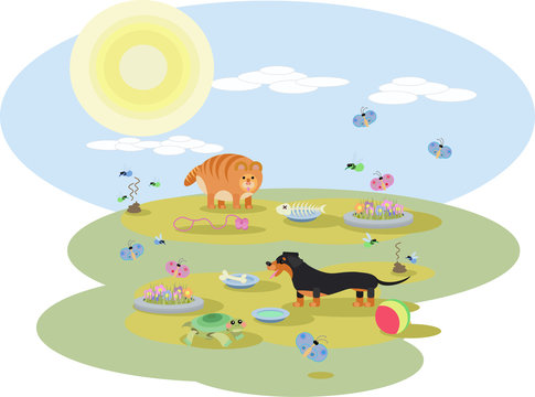 abstract illustration of Dachshund dog and a red cat with toys on the meadow in Sunny day