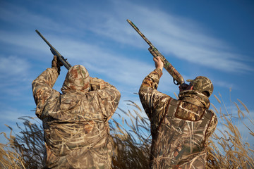 Duck hunters aiming into sky with guns