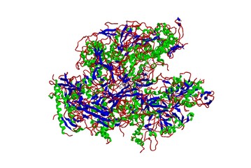 Molecular structure of RNA polymerase, 3d rendering - obrazy, fototapety, plakaty
