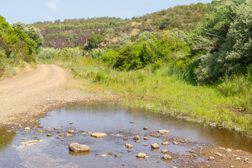 Flooded road and forest in Carrapateira