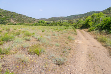 Road in Ajezur with mountain and vegetation