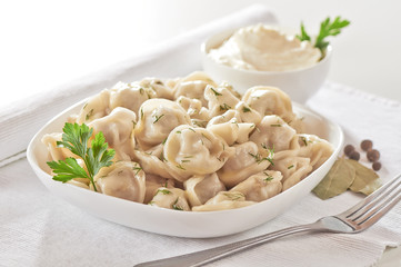 Russian cuisine hot meat dumplings served with herbs
