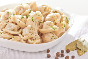 Russian cuisine hot meat dumplings served with herbs