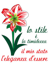 amarillis fiore significato 
