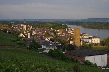 Fototapete bei efototapeten.de bestellen   