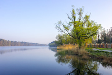 Views from the shore at dawn of peaceful Lake Jezioro Lichenskie in Lichen Stary, Poland