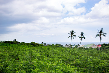Fototapeta premium The seaside view of Taimali, Taitung.