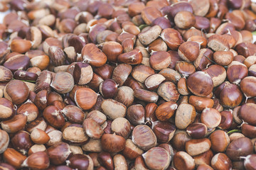 Chestnut background. Autumn season