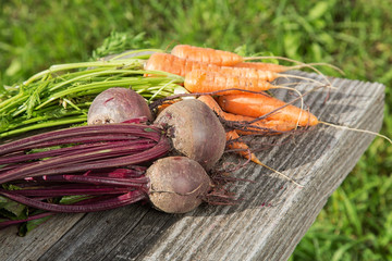 Beets and carrots from the beds on old boards
