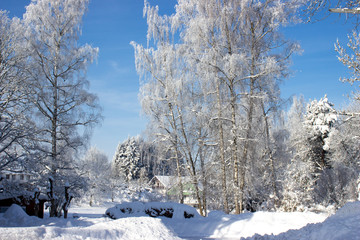 Winterlandschaft