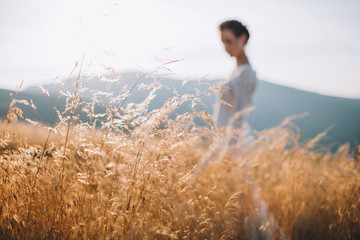 Beautiful brunette bride walks in golden wheat
