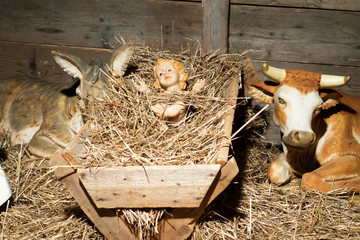 Baby Jesus with the ox and the donkey