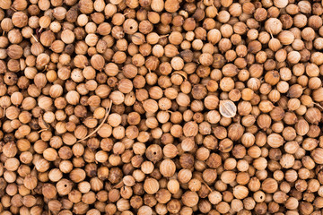 closeup coriander seeds background