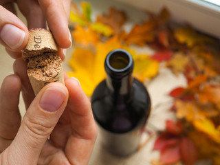 Broken wine bottle stopper. Abstract background.
