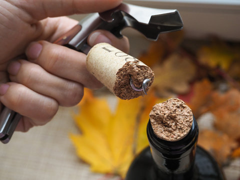 Fototapeta Broken wine bottle stopper. Abstract background.  