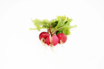 three small radishes on a white background, one of which is cracked as a result of an overabundance of moisture in the soil. - obrazy, fototapety, plakaty