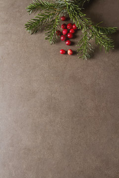 Christmas tree branch cranberries. Dark gray stone background.
