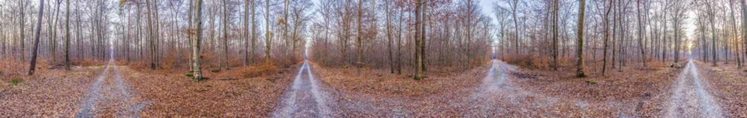 Fototapeta na wymiar Wegekreuzung im Wald