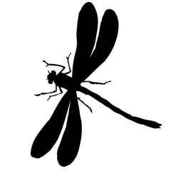 black and white silhouette of a dragonfly