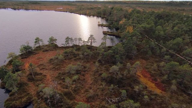 Drone footage of bog lake and nature trails