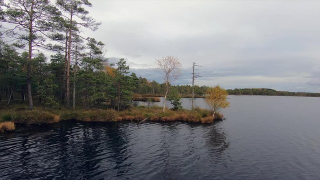 Drone footage over bog lake