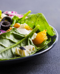 Spinach, cheese, red onion and olives salad on a dark table, closeup