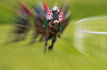 Winning racehorse and jockey motion blur zoom effect