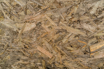 Plywood